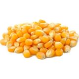 Glutensiz Cin Mısır - 1 kg