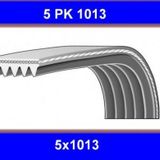 GMB GPK 5PK1013 Kanallı Kayış