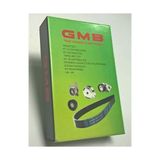 GMB GTK594800 Triger Eksantrik Gergi Seti 162 Dıs Mazda E2200 Besta Ym