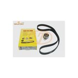 Gmb VT195900 VT195900 Triger Eksantrik Gergi Seti Carisma 1.9 D 96-