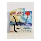 Gmc Musıc Store Turkuaz Gt-01 Klasik Gitar Takım Tel