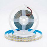 Gndz Home 12V Yüksek Lümen Şerit Led: Metrede 60,120,240 LED - Beyaz,günışığı,amber Renk Seçenekleri - 5,10,15,20,25 Metre Seçenekleri - Iç Mekan Aydınlatma (5 Metre - 240 Led/metre, Günışığı)