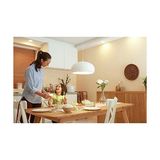 Gndz Store LED CLASSIC120W G120 E27 Sarı Işık Glob Ww Dim Edilmez Ampul - 0,5 W - Altın