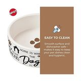 Gndz Store Spot I Dogs Tabağı - Yuvarlak Seramik Yemek/evcil Hayvanlar Için Yüksek Duvarlı Su Kasesi, Bulaşık Makinesinde Yıkanabilir, Küçük Köpekler, Kediler, Sürüngenler, Büyük Kuşlar, 12,7 Cm, 1,75 - Option-1 - 0 - Siyah - 1 Adet