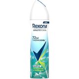 Gndz Store Thermocool Kadın Sprey Deodorant Eucalyptus & Magnolia 150 ml - Option-1