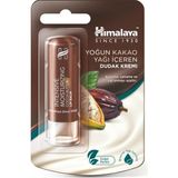 Gndz Store Yoğun Nemlendirici Dudak Kremi, Lip Balm, Kakao Yağı, Hint Yağı, BESLEYICI,%100 Doğal Renk, Silikon Içermez, 4,5 gr - Option-1