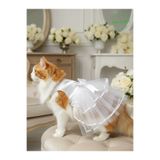 Gobo Kedi Köpek için Şık Tasarım Gelinlik & Doğum Günü Abiyesi Parti Kıyafeti Elbisesi XSMALL/XS/Beden 0