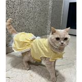 Gobo Sarı Beyaz Kareli Fiyonklu Cırtcırtlı Kedi Köpek Kıyafeti Elbisesi