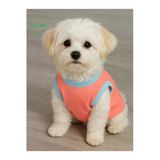 Gobo Şeker Pembe Renkli Kedi Ve Köpek Kıyafeti Elbisesi Siyah Köpek Baskılı Medium/M/Beden 2