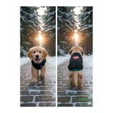 Gobo Siyah Kışlık Kedi Köpek Kıyafeti Love Desenli Kışlık Elbise