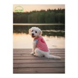 Gobo Yumuşacık Şeker Pembe Kedi ve Köpek Kıyafeti Elbisesi Farklı Modeller - XS, S, M, L Beden
