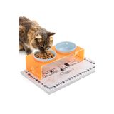 GOBYPET 2'li Turuncu Pleksi Dekoratif Kedi Ve Köpek Seramik Mama & Su Kabı Paspas Hediye