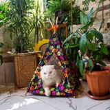 gobypet always the best Kedi Çadırı, Kedi Evi Kolay Kurulum, Yıkanabilir Kedi Çadırı, Kedi Yatağı (Patili Desen, Large)
