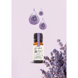 Gochek Doğal Lavanta Uçucu Yağı - Lavandula Angustifolia Çiçeklerinden Tamamen Doğal ve Katkısız - 10 ml