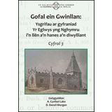 Gofal ein Gwinllan 3 - Ysgrifau ar gyfraniad Yr Eglwys yng Nghymru i'n llen a'n hanes a'n diwylliant: Ysgrifau ar gyfraniad Yr Eglwys yng Nghymru i'n llen ein hanes a'n diwylliant