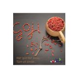 GojiberryTürkiye Gojiberryturkiye 1. Sınıf Goji Berry 1 Kgr. Kurt Üzümü