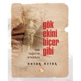 GÖK EKINI BİÇER GIBI - NURAN ÖZLÜK