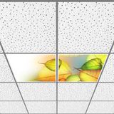 Gök Panel 60X60 LED Panel Aydınlatma Armatür Avize Sıva Altı Desenli 1x2 Ikili Grup 46510054SA - 6400K - Beyaz