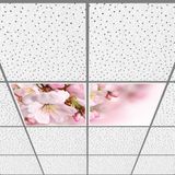 Gök Panel 60X60 LED Panel Aydınlatma Armatür Avize Sıva Altı Desenli 1x2 Ikili Grup 46510136SA - 6400K - Beyaz