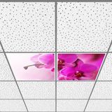 Gök Panel 60X60 LED Panel Aydınlatma Armatür Avize Sıva Altı Desenli 1x2 Ikili Grup 46510142SA - 6400K - Beyaz