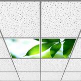 Gök Panel 60X60 LED Panel Aydınlatma Armatür Avize Sıva Altı Desenli 1x2 Ikili Grup 46510152SA - 6400K - Beyaz