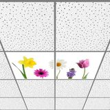 Gök Panel 60X60 LED Panel Aydınlatma Armatür Avize Sıva Altı Desenli 1x2 Ikili Grup 46510690SA - 6400K - Beyaz