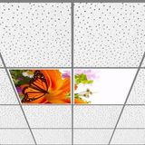 Gök Panel 60X60 LED Panel Aydınlatma Armatür Avize Sıva Altı Desenli 1x2 Ikili Grup 46510741SA - 6400K - Beyaz