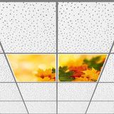 Gök Panel 60X60 LED Panel Aydınlatma Armatür Avize Sıva Altı Desenli 1x2 Ikili Grup 46510747SA - 6400K - Beyaz