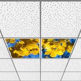 Gök Panel 60X60 LED Panel Aydınlatma Armatür Avize Sıva Altı Desenli 1x2 Ikili Grup 46510763SA - 6400K - Beyaz