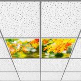 Gök Panel 60X60 LED Panel Aydınlatma Armatür Avize Sıva Altı Desenli 1x2 Ikili Grup 46510764SA - 6400K - Beyaz