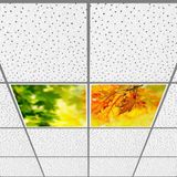 Gök Panel 60X60 LED Panel Aydınlatma Armatür Avize Sıva Altı Desenli 1x2 Ikili Grup 46510765SA - 6400K - Beyaz