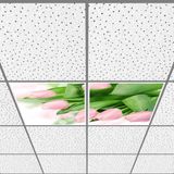 Gök Panel 60X60 LED Panel Aydınlatma Armatür Avize Sıva Altı Desenli 1x2 Ikili Grup 46510778SA - 6400K - Beyaz