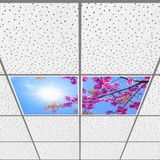 Gök Panel 60X60 LED Panel Aydınlatma Armatür Avize Sıva Altı Desenli 1x2 Ikili Grup 46510788SA - 6400K - Beyaz