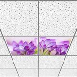 Gök Panel 60X60 LED Panel Aydınlatma Armatür Avize Sıva Altı Desenli 1x2 Ikili Grup 46510889SA - 6400K - Beyaz
