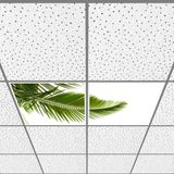 Gök Panel 60X60 LED Panel Aydınlatma Armatür Avize Sıva Altı Desenli 1x2 Ikili Grup 46510918SA - 6400K - Beyaz