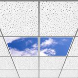 Gök Panel 60X60 LED Panel Aydınlatma Armatür Avize Sıva Altı Desenli 1x2 Ikili Grup 46510931SA - 6400K - Beyaz