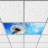 Gök Panel 60X60 LED Panel Aydınlatma Armatür Avize Sıva Altı Desenli 1x2 Ikili Grup 46510961SA - 6400K - Beyaz