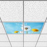 Gök Panel 60X60 LED Panel Aydınlatma Armatür Avize Sıva Altı Desenli 1x2 Ikili Grup 46510966SA - 6400K - Beyaz