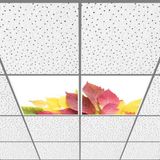 Gök Panel 60X60 LED Panel Aydınlatma Armatür Avize Sıva Altı Desenli 1x2 Ikili Grup 46510979SA - 6400K - Beyaz