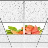 Gök Panel 60X60 LED Panel Aydınlatma Armatür Avize Sıva Altı Desenli 1x2 Ikili Grup 46510982SA - 6400K - Beyaz