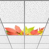 Gök Panel 60X60 LED Panel Aydınlatma Armatür Avize Sıva Altı Desenli 1x2 Ikili Grup 46510994SA - 6400K - Beyaz