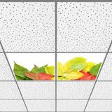 Gök Panel 60X60 LED Panel Aydınlatma Armatür Avize Sıva Altı Desenli 1x2 Ikili Grup 46510997SA - 6400K - Beyaz