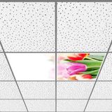 Gök Panel 60X60 LED Panel Aydınlatma Armatür Avize Sıva Altı Desenli 1x2 Ikili Grup 46511113SA - 6400K - Beyaz