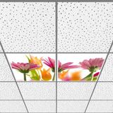Gök Panel 60X60 LED Panel Aydınlatma Armatür Avize Sıva Altı Desenli 1x2 Ikili Grup 46511138SA - 6400K - Beyaz