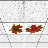 Gök Panel 60X60 LED Panel Aydınlatma Armatür Avize Sıva Altı Desenli 1x2 Ikili Grup 46511142SA - 6400K - Beyaz
