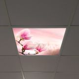 Gök Panel 60X60 LED Panel Aydınlatma Armatür Avize Sıva Altı Desenli Tekli 46510005SA - 6500K - Beyaz