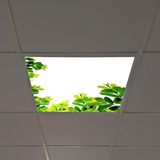 Gök Panel 60X60 LED Panel Aydınlatma Armatür Avize Sıva Altı Desenli Tekli 46510092SA - 6500K - Beyaz