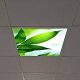 Gök Panel 60X60 LED Panel Aydınlatma Armatür Avize Sıva Altı Desenli Tekli 46510103SA - 6500K - Beyaz