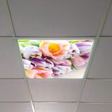 Gök Panel 60X60 LED Panel Aydınlatma Armatür Avize Sıva Altı Desenli Tekli 46510160SA - 6500K - Beyaz