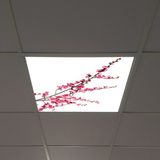 Gök Panel 60X60 LED Panel Aydınlatma Armatür Avize Sıva Altı Desenli Tekli 46510161SA - 6500K - Beyaz